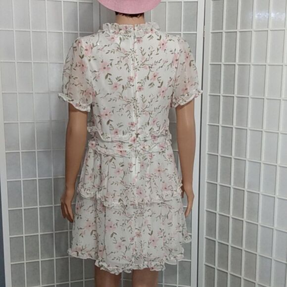 Trixxi Chiffon Dress – White/Pink Floral – Lined – NWOT – Size L - Picture 6 of 14